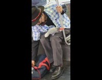Guy with grey bird on lap train 