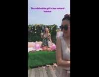 Grass bed pink beach ball flowers