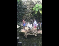 Group photo with white cranes Xcaret sign