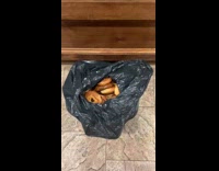 Bag of bagels left in lobby of apartment
