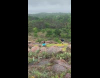 Collab IITW - Woman in Blue Tutu Poses with Nature 