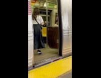 Woman takes photos of dog in train