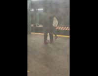 Couple wearing matching shoes bring duck to subway station  