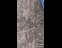 Girl gets brown puppy dog towel car 