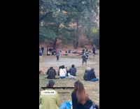 Armored men sword fighting at the park
