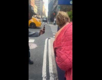 People amused with bee swarm on plant street