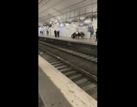 Man Throws Bag and Drops on Train Track