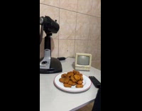 Chicken nuggets tiny tv old fan