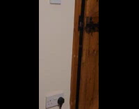 Cat climbed on something to open door