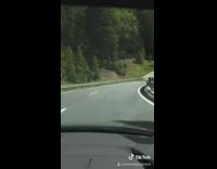 Couple go to paris eiffel tower pool 