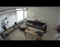 Cat jumps on laundry rack and falls