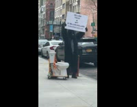 Guy in Gorilla Costume Tries to Sell Toilet in Crypto 