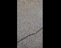 Group of Caterpillar forms long line ground