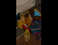 Lady Scolds Puppy while it Lays on Bed