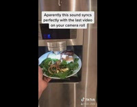 Fridge dispenser dispenses sausages on sandwich
