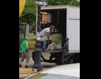 Three guys carrying a dinosaur statue off the back of a delivery truck 
