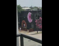Two girls black building painted flowers pt. 2
