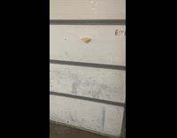 Man throws frozen cheese like shuriken