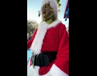 Woman had meet and greet with the grinch 