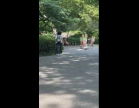 Lots of men skateboard through park in swimsuits