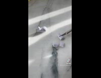 Shaping donkey mule onto cupcake decoration