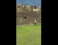 Woman brown top black pants sit on monument stairs
