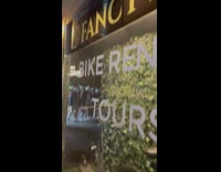 Mouse climbs on bike in window display