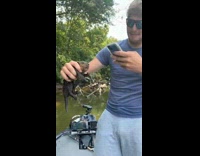 Guys saving baby beaver 