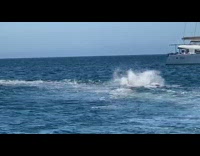 Girl in green is pulled off water ski faceplant
