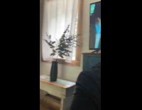 Dog enjoys watching TV with the owner