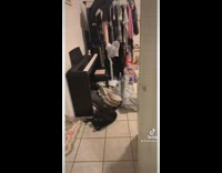 Guy comes into room and gives girl covid test safety