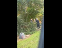 Man takes picture of his cat on a pole 