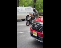 Cat wears sunglasses motor ride with owner