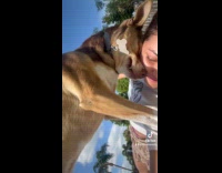 Dog presses face to its owners face