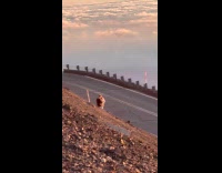 Woman run towards her filmer at sunset