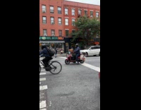 Collab WINY - Man drives motorcycle with cat on dashboard 
