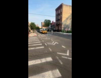 Woman watch family of goose cross street