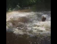 Man goes down zipline, flies off and crashes into water below