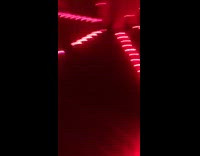 Lady Hits Herself in a Mirror Maze