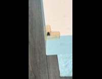 Woman being observed by cute jumping spider 