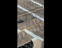 Couple suit and dress parking lot photoshoot