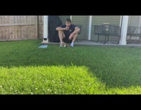 Puppy corgi run and then fell on the grass