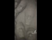 Collab BitchMP - Guy has a bunch of face imprints in snow