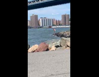 Guy swims to green jet ski river