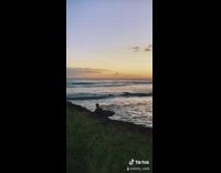 Compilation guy friends hawaii adventure skateboard bonfire 