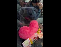 Man surprising girlfriend with Valentines day gift 