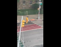 Man yellow jacket hold long stick street