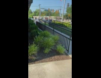 Police talk to drunk woman  stand in car