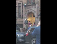 Grandpa climbs ladder towards green blue parrot 
