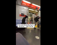 Dog gets whole seat on train ride